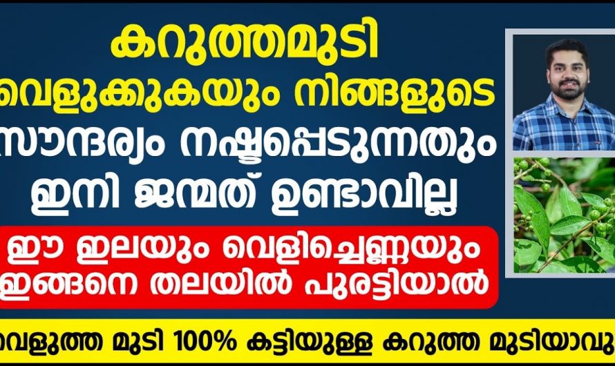 വെളുത്ത മുടികളെ കറുപ്പിക്കുന്ന ഒരു മാന്ത്രിക ഇല.