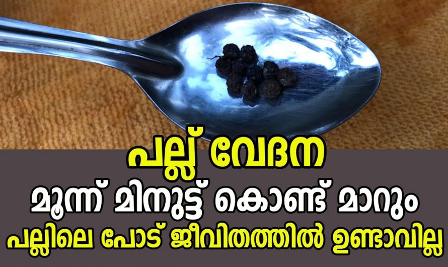 മൂന്നു മിനിറ്റ് മതി പല്ലുവേദന പമ്പകടക്കും.