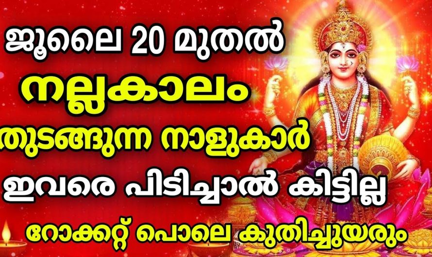 ഉന്നതിയിലേക്ക് പോകാൻ സാധ്യതയുള്ള ചില നക്ഷത്രക്കാർ. ഇനി ഈ നക്ഷത്രക്കാരെ നോക്കിയിട്ട് കാര്യമില്ല ഇവർക്ക് വെച്ചടിവെച്ചടി കുതിപ്പാണ്.