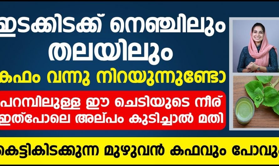 കഫം ഇറങ്ങി തലയിലും നെഞ്ചിലും ഭാരം അനുഭവപ്പെടുന്നുണ്ടോ. എത്ര കടുത്ത കബവും ആവിയായി പോകും.