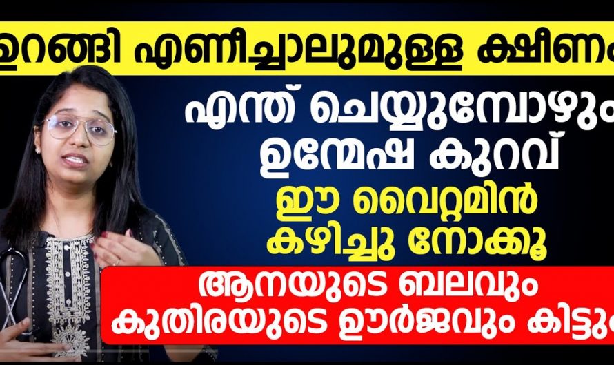 നിങ്ങളും ശീലമാക്കു എനർജി ലെവൽ ഒരുപാട് വർദ്ധിപ്പിക്കുന്ന ഈ  വിറ്റാമിൻ.