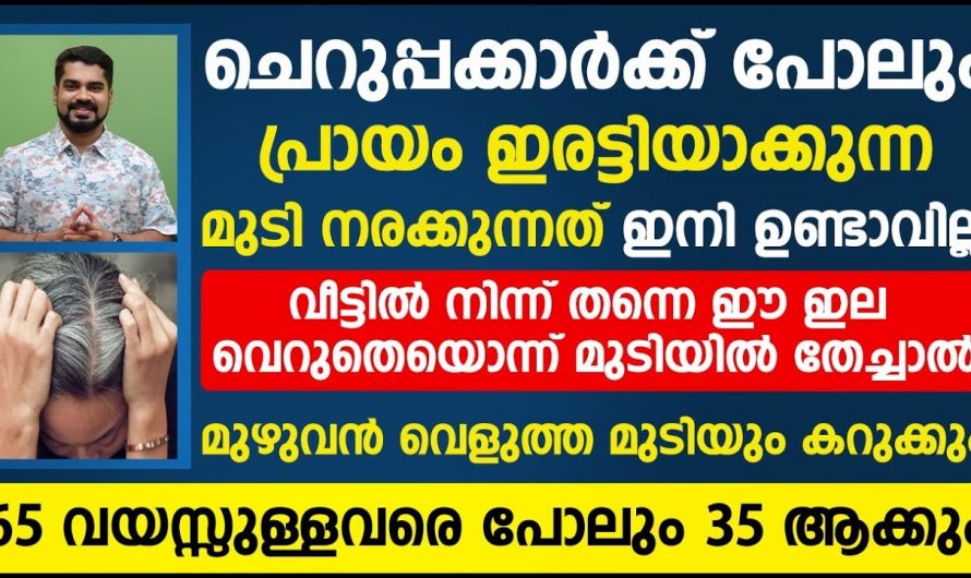 നിങ്ങളുടെ മുടിയിഴകൾക്ക് ഇനി എന്നും യുവത്വം നിലനിർത്താം.