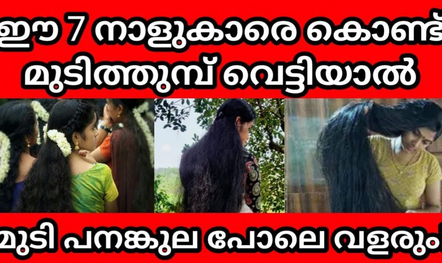 ഇവർ വെട്ടിയാൽ മുടി ഭ്രാന്ത് പിടിച്ചതുപോലെ വളരും.