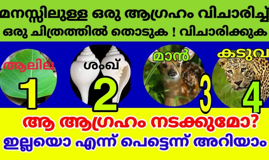 മനസ്സിലുള്ള ആഗ്രഹം എപ്പോൾ നടക്കുമെന്ന് ഈ ചിത്രങ്ങൾ പറയും.