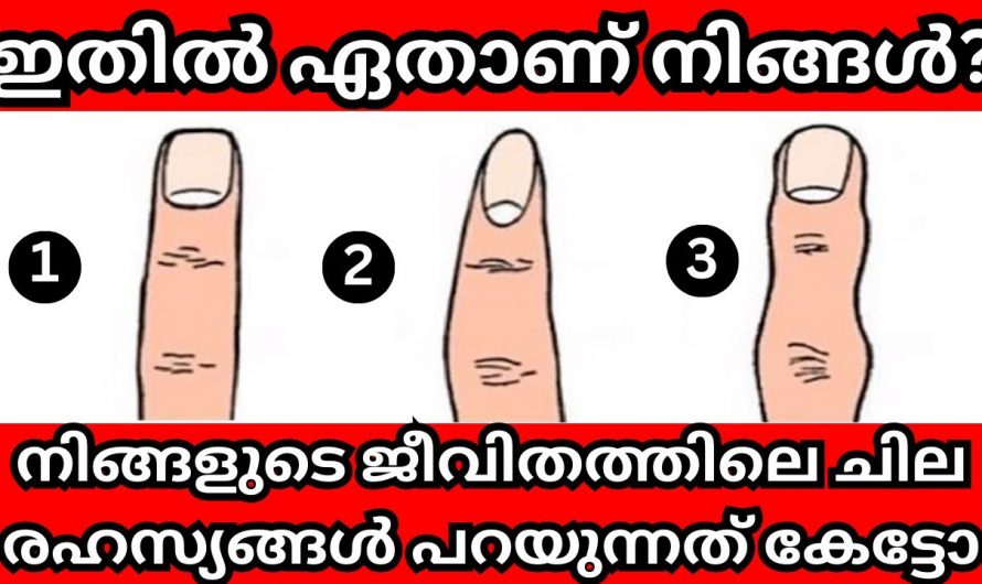 നിങ്ങളുടെ വിരലിന്റെ ആകൃതിയിൽ ഉണ്ട് നിങ്ങളുടെ സ്വഭാവം.