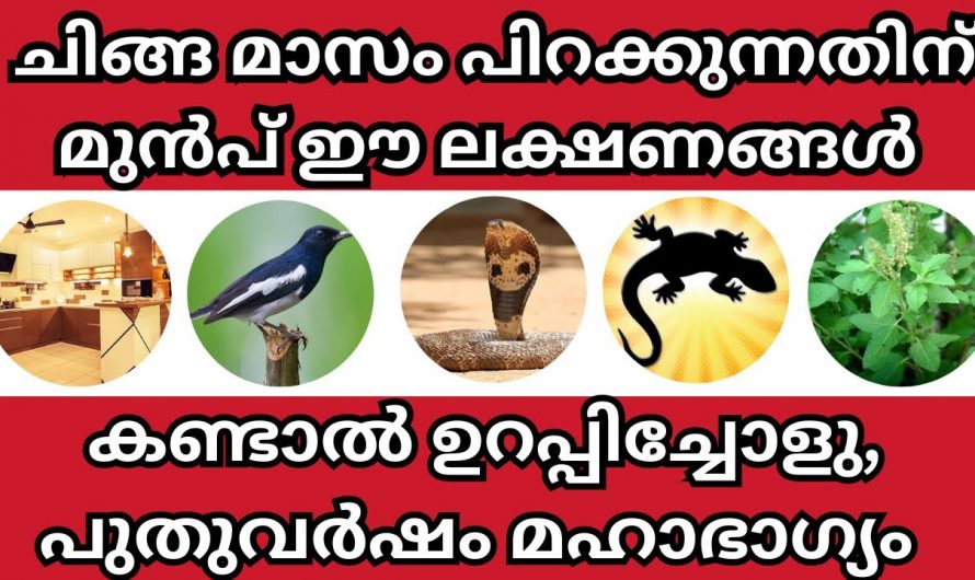 ചിങ്ങം പിറക്കുന്നതിനോട് അനുബന്ധിച്ചുള്ള ദിനങ്ങളിൽ ഈ ലക്ഷണങ്ങൾ കണ്ടാൽ ഉറപ്പിച്ചോളൂ സൗഭാഗ്യമാണ് വരാനിരിക്കുന്നത്