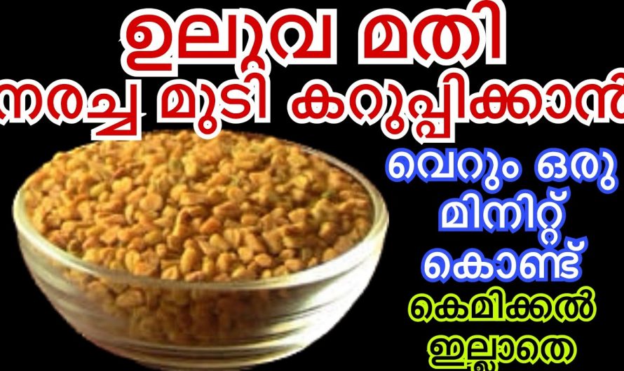 കെമിക്കലുകൾ ഇല്ലാതെ പെർഫെക്ട് ഡൈ ഇനി വീട്ടിൽ ഉണ്ടാക്കാം. ഒരു സ്പൂൺ ഉലുവ ഉണ്ടോ ഡൈ റെഡി.