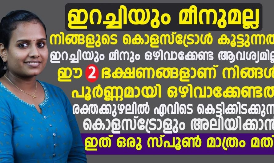 കൊളസ്ട്രോൾ ആണോ നിങ്ങളുടെ പ്രശ്നം. എങ്കിൽ ഇറച്ചിയും മീനുമല്ല ഈ ഭക്ഷണമാണ് ഒഴിവാക്കേണ്ടത്.