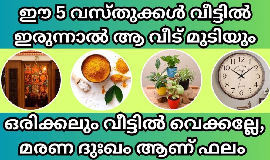 ഒരു വീടിനെ മുഴുവൻ നശിപ്പിക്കാൻ ശേഷിയുള്ള ചില വസ്തുക്കൾ. ഈ വസ്തുക്കൾ ഒരിക്കലും നിങ്ങളുടെ വീടിനകത്ത് സൂക്ഷിക്കരുത്.