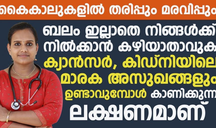 കൈകൾ തരിപ്പ് മറ്റ് ചില രോഗങ്ങളുടെ ലക്ഷണമാണ് ഇവ ഏതൊക്കെ.