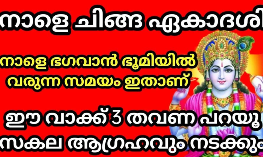 നാളെ ഏകാദശി, ഭഗവാൻ മണ്ണിൽ ഇറങ്ങി വരുന്ന ദിനം. ഈ മന്ത്രം മൂന്ന് തവണ പറയു, നിങ്ങളുടെ എത്ര വലിയ ആഗ്രഹവും സാധിക്കും.