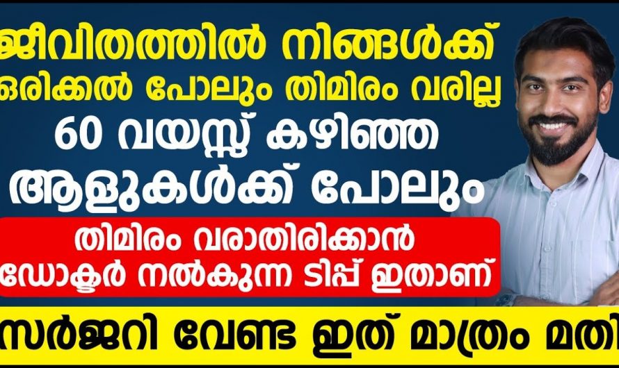 എങ്ങനെ നിങ്ങളുടെ കാഴ്ച ശക്തി നിലനിർത്താം. കണ്ണുകളുടെ ആരോഗ്യം സംരക്ഷിക്കാൻ ചെയ്യേണ്ട കാര്യങ്ങൾ.