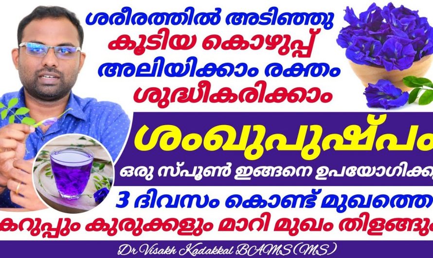 അഴകിനും ആകാര ഭംഗിക്ക് ശങ്കുപുഷ്പം ഇങ്ങനെ ഉപയോഗിക്കൂ.