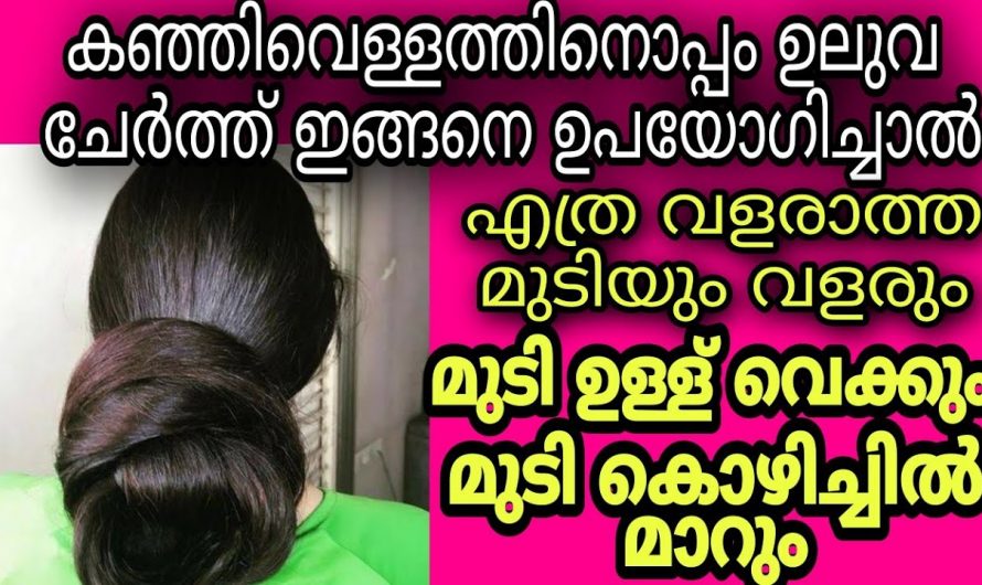 എത്ര വളരാത്ത മുടിയും ഇനി പനംകുല പോലെ വളരും, ഇങ്ങനെ ചെയ്യൂ.