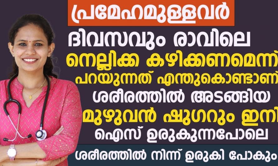 ദിവസവും നെല്ലിക്ക ഇങ്ങനെ കഴിച്ചാൽ കൊളസ്ട്രോള് പമ്പ കടക്കും.