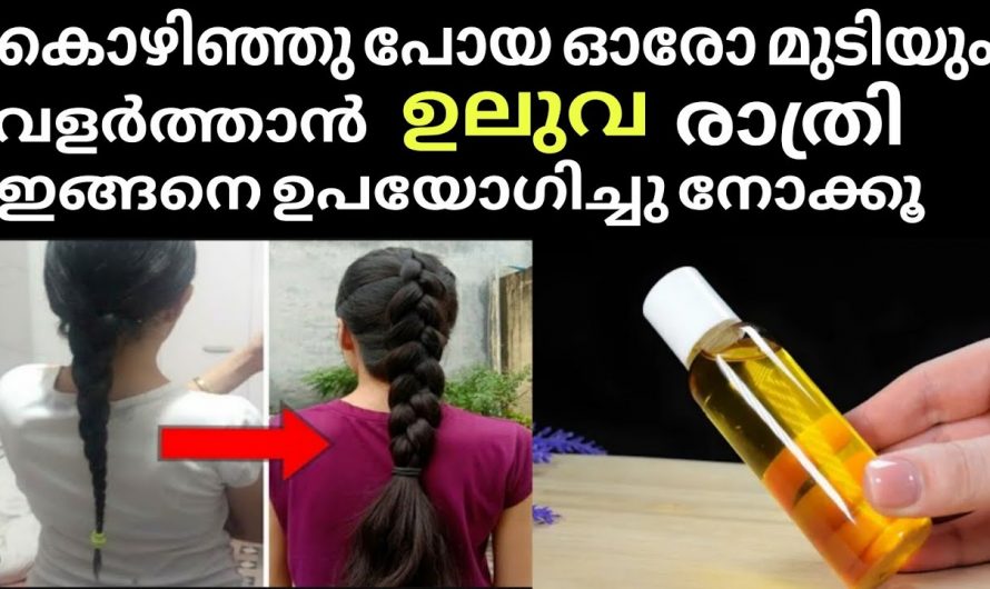 ഇപ്പോഴുള്ള മുടി ഇരട്ടിയാകും ഉറപ്പാണ്, ഈ സൊല്യൂഷൻ ഉപയോഗിച്ചു നോക്കൂ.