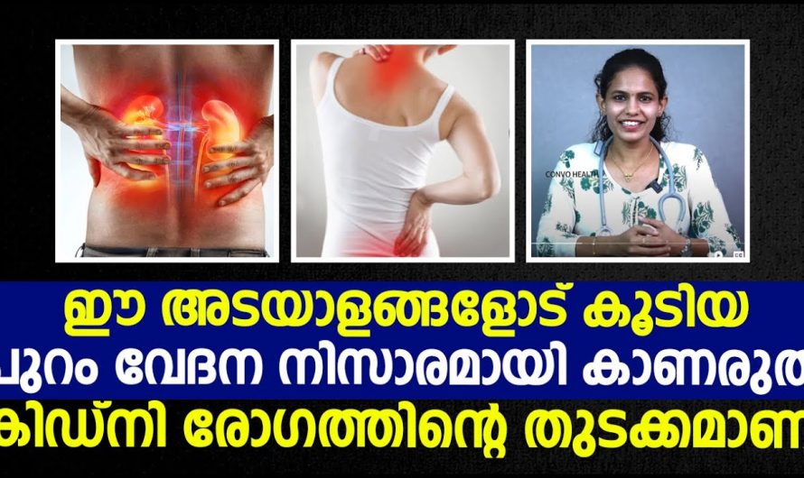 നിസ്സാരം എന്ന് കരുതുന്ന പുറം വേദനയെ ഭയക്കേണ്ടത് എപ്പോൾ