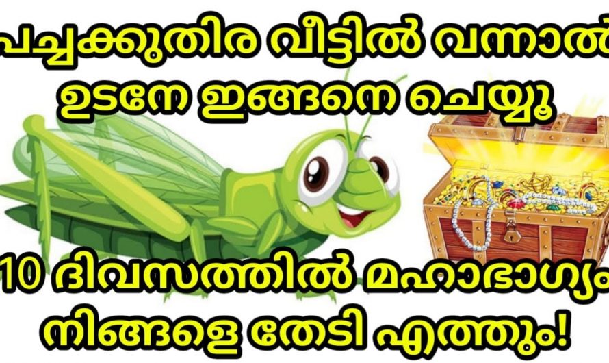 നിങ്ങളുടെ വീടിന്റെ ഈ ഭാഗത്താണ് പച്ചകുതിരയെ കാണുന്നത് എങ്കിൽ നിങ്ങൾ രക്ഷപ്പെട്ടു.