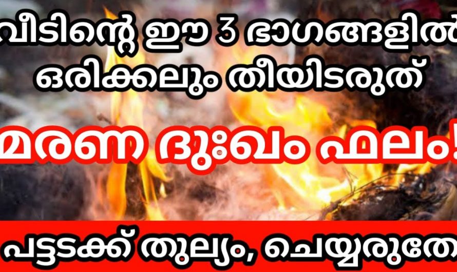 അഗ്നി ജ്വലിച്ചാൽ മരണ ദുഃഖം ഉണ്ടാകുന്ന ചില ഭാഗങ്ങൾ.