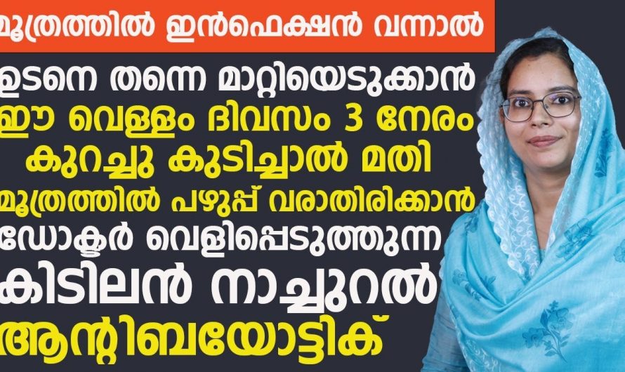 മൂത്ര സംബന്ധമായ ഇൻഫെക്ഷനുകൾ മാറാൻ ഈ ഇല തിളപ്പിച്ച വെള്ളം കുടിക്കാം.