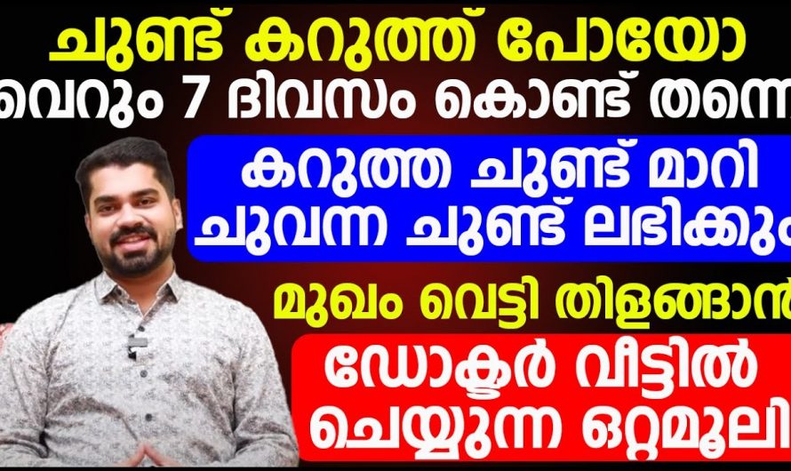 പനിനീർ പുഷ്പം പോലെ ചുവന്ന ചുണ്ടുകൾ നിങ്ങൾക്കും സ്വന്തമാക്കാം. കറുത്തിരുണ്ട ചുണ്ടുകളെ ഇനി മറന്നേക്കു.