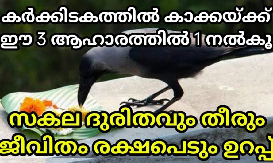 കാക്കയ്ക്ക് ആഹാരം കൊടുക്കാറുണ്ടോ, കർക്കിടകത്തിൽ ഈ മൂന്നിൽ ഏതെങ്കിലും ഒന്ന് കൊടുക്കൂ.