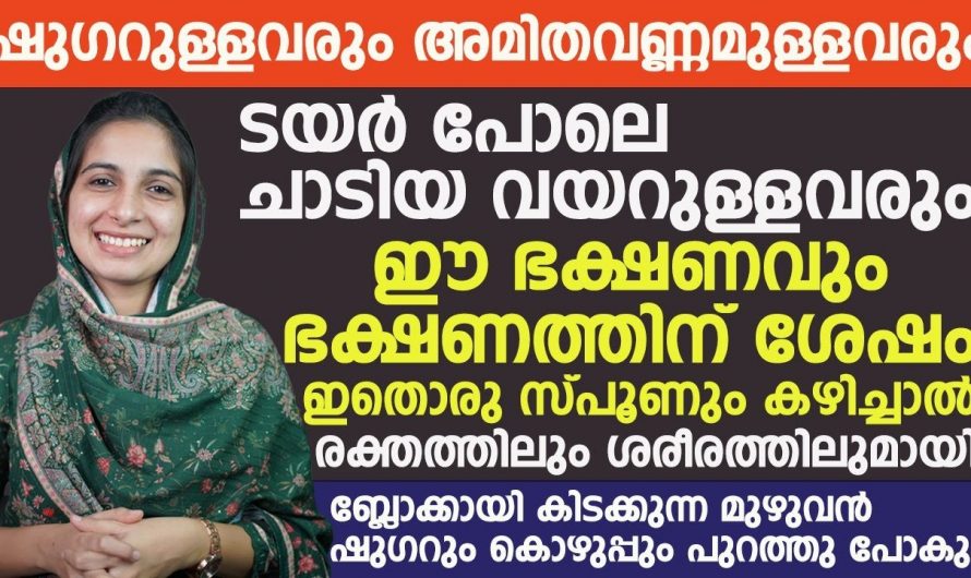 ഷുഗറും,കൊഴുപ്പും ഇനി നിങ്ങളുടെ ശരീരത്തിൽ ബുദ്ധിമുട്ട് ഉണ്ടാക്കില്ല. തടി കുറയ്ക്കാൻ വളരെ എളുപ്പം.