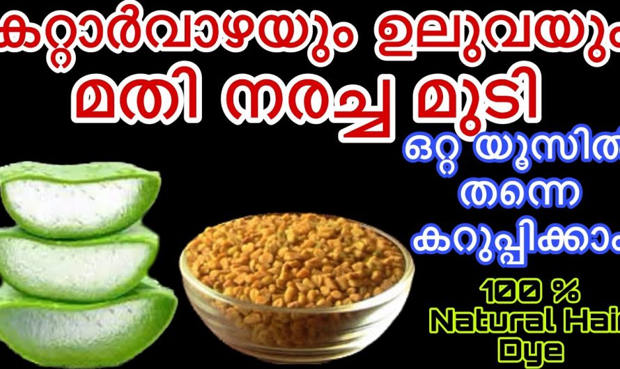 മുടി കറുപ്പിക്കാൻ കറ്റാർവാഴയോ, നിങ്ങളും ഞെട്ടി പോകും. കറ്റാർവാഴ ഇങ്ങനെ ഉപയോഗിച്ചാൽ മതി എത്ര നരച്ച മുടിയും കറുക്കും.