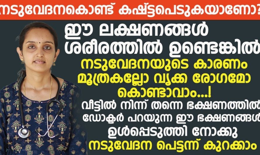 വിട്ടുമാറാത്ത നടുവേദനയാണോ നിങ്ങളുടെ പ്രശ്നം, എങ്കിൽ മൂത്രത്തിൽ കല്ലാകാം.