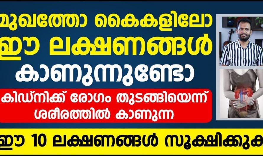 കിഡ്നി രോഗത്തിന് ശരീരം കാണിക്കുന്ന 10 ലക്ഷണങ്ങൾ. |  Kidney Disease