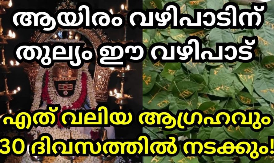 നിങ്ങളുടെ ആഗ്രഹം എത്ര വലുതും ആയിക്കോട്ടെ ക്ഷേത്രത്തിൽ ഈ വഴിപാട് ചെയ്താൽ മതി.