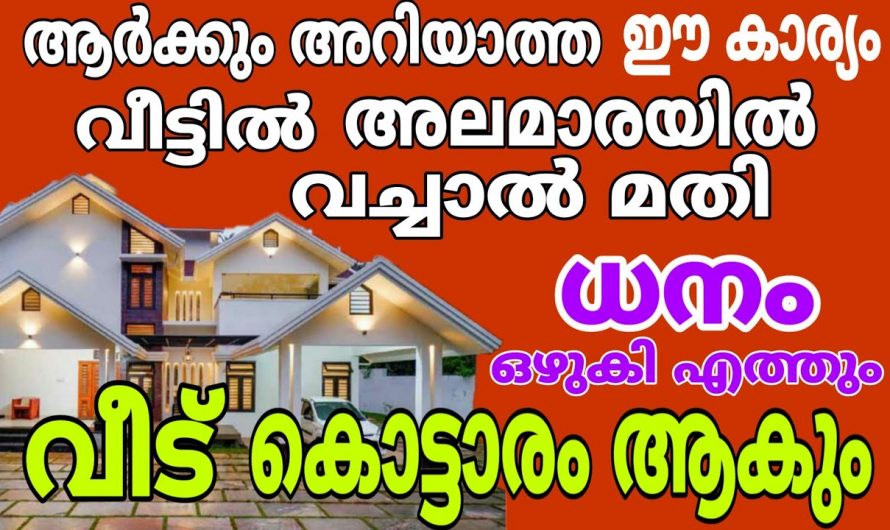 കിരീടം ഇല്ലാത്ത രാജാവിനെ പോലെ വാഴുന്നതിന് നിങ്ങളുടെ അലമാരയിൽ ഈ വസ്തു വക്കു.