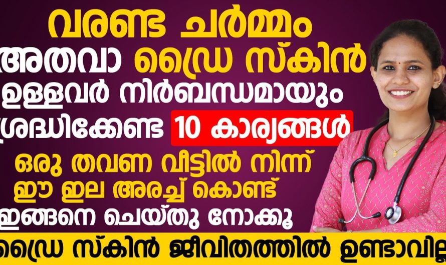 നിങ്ങളുടെ വീട്ടിൽ കറ്റാർവാഴ ഉണ്ടോ, എങ്കിൽ വരണ്ട ചർമം ഒരു പ്രശ്നമേയല്ല.