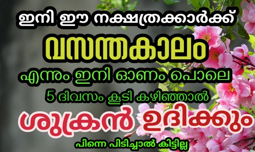 ഇനി ഈ നക്ഷത്രക്കാർക്ക് എന്നും ശുക്രൻ തന്നെ. നിങ്ങളും ഈ നക്ഷത്രക്കാരാണ് എങ്കിൽ ഭാഗ്യമാണ്.