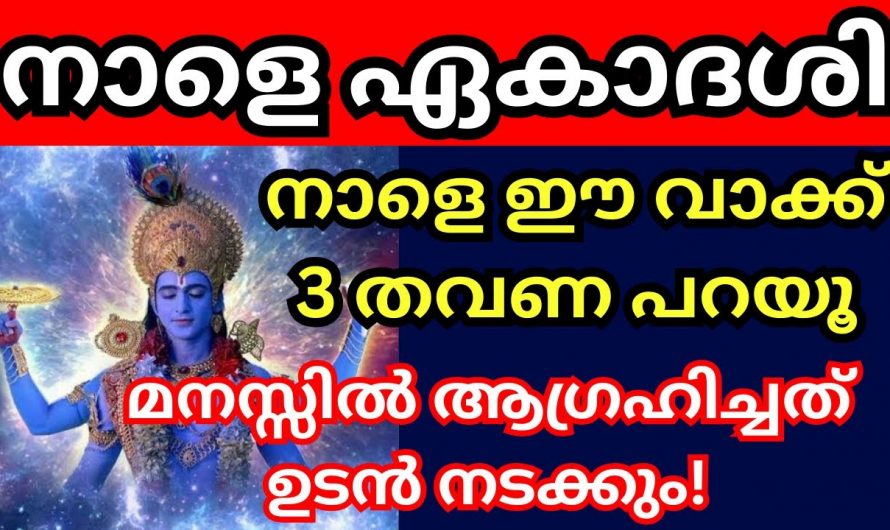 ഈ ഏകാദശിക്ക് ഇങ്ങനെ ചെയ്താൽ നിങ്ങളുടെ ഏത് വലിയ ആഗ്രഹവും നടക്കും.