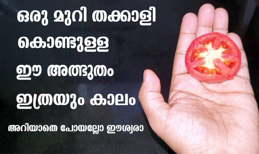 ഒരു മുറി തക്കാളി മതി മുഖത്തെ കറുപ്പും കരുവാളിപ്പും മാറ്റം. മുഖം തിളക്കമാർന്നതാക്കാം.