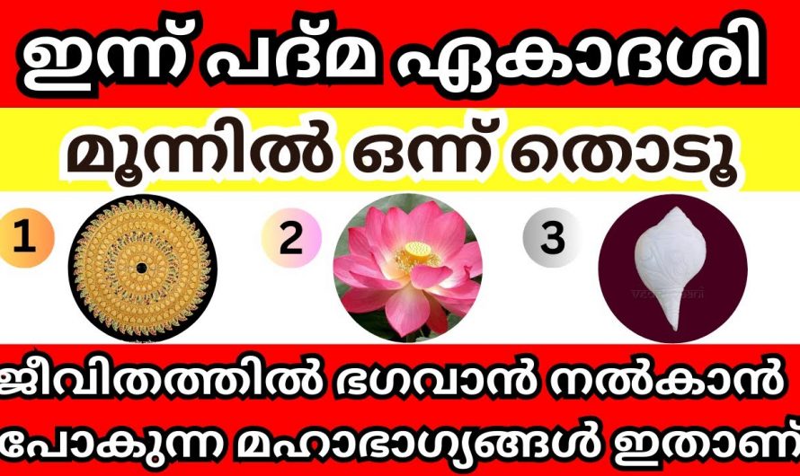 ഈ മൂന്നിലൊന്ന് തൊട്ടാൽ അറിയാം ഭഗവാൻ നിങ്ങളെ എങ്ങനെ അനുഗ്രഹിക്കുന്നു എന്നത്.