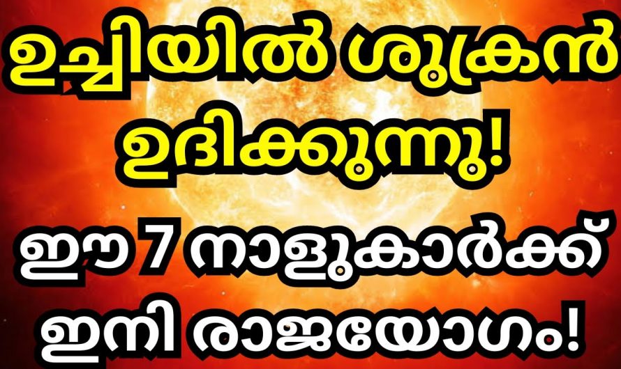 നിങ്ങൾ ഇനി രാജാവിനെ പോലെ വാഴും, നിങ്ങളുടെ ജീവിതത്തിൽ ഇനി ശുക്രനാണ്.