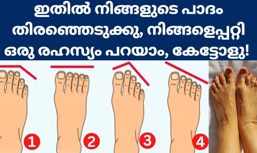 ഇതിൽ ഏതാണ് നിങ്ങളുടെ കാൽപാദം. നിങ്ങളെക്കുറിച്ചുള്ള രഹസ്യങ്ങൾ അറിയാൻ ഇവയിൽ ഒന്ന് തൊടു.