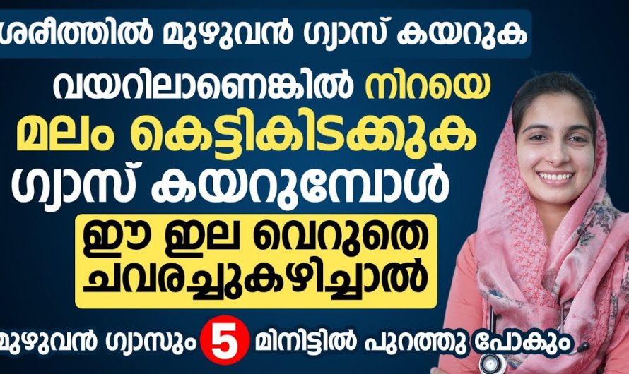 വെറും 5 മിനിറ്റ് മതി എത്ര വലിയ ഗ്യാസ് പ്രശ്നങ്ങളും മാറും.