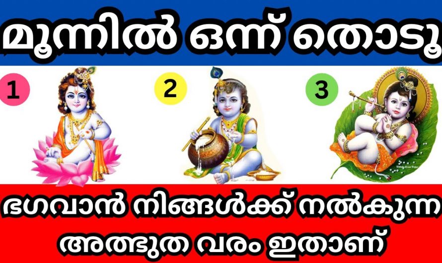 മൂന്ന് ഉണ്ണിക്കണന്മാരിൽ ഒന്ന് നിങ്ങൾക്ക് വലിയ അത്ഭുത വരം നൽകും