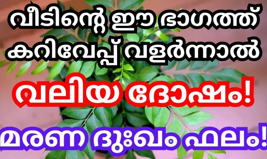 നിങ്ങളുടെ വീടല്ലേ ഏതു ഭാഗത്താണ് കറിവേപ് നിൽക്കുന്നത്, ഈ ഭാഗത്ത് കറിവേപ് വന്നാൽ ആയുസ്സിന് വരെ ദോഷമാണ്.