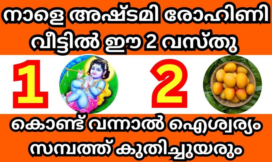 നാളെ അഷ്ടമി രോഹിണിയിൽ നിങ്ങളുടെ വീട്ടിൽ കൊണ്ടുവരേണ്ട രണ്ടു വസ്തുക്കൾ.