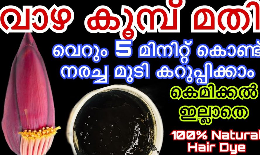 മുടി കറുപ്പിക്കാൻ ഇനി വാഴക്കൂമ്പ് മാത്രം മതി. ഒരു കെമിക്കലും ഇല്ലാത്ത നാച്ചുറൽ ഡൈ.