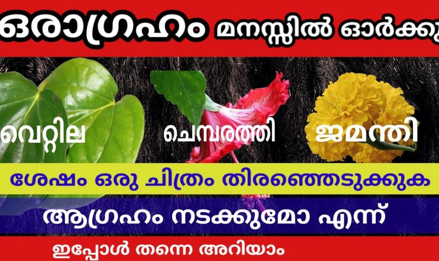 ഈ മൂന്നിൽ ഒരു പുഷ്പം തിരഞ്ഞെടുക്കു. നിങ്ങളുടെ മനസ്സിലുള്ള ആഗ്രഹം നടക്കുമോ എന്നറിയാം.