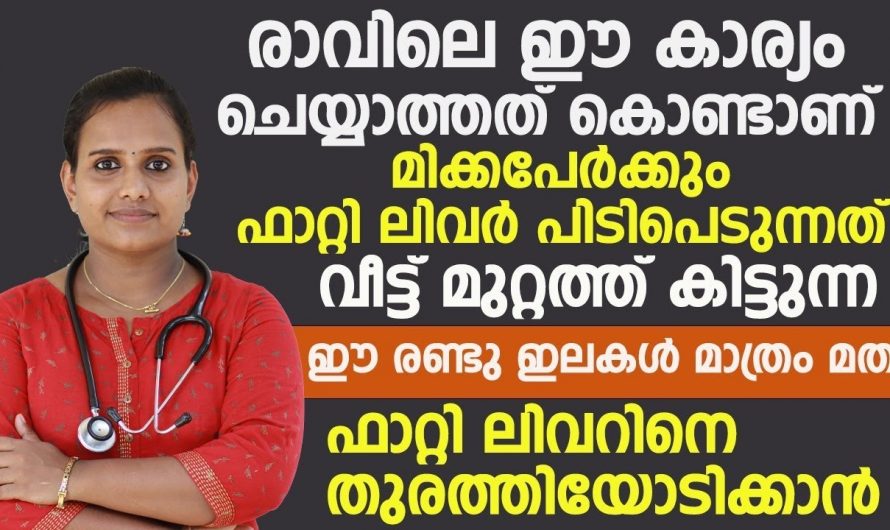 നിങ്ങളും ഫാറ്റി ലിവറിനെ അടിമയാണോ, നിങ്ങൾക്ക് ഫാറ്റിലിവർ ഇല്ലാതാക്കാൻ എന്തൊക്കെ ചെയ്യാം.