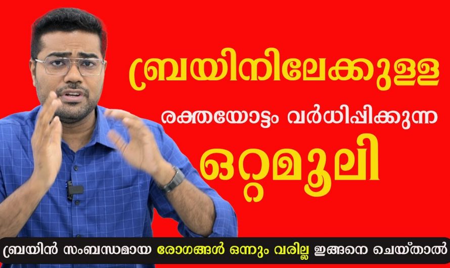 മദ്യത്തേക്കാൾ വലിയ വില്ലനാണ് ഈ ചിന്തകൾ.  ചോറിലേക്കുള്ള ബ്ലഡ് സർക്കുലേഷൻ എങ്ങനെ വർദ്ധിപ്പിക്കാം.