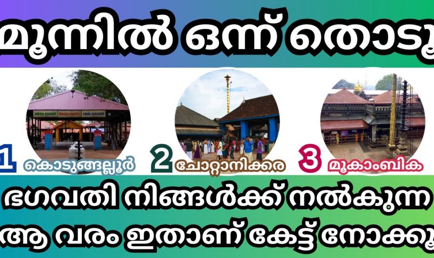 ഈ വിജയദശമി നിങ്ങൾക്കും അനുഗ്രഹമായേക്കാം. മൂന്നിലൊന്ന് തൊട്ടുനോക്കൂ ഭഗവതി നിങ്ങൾക്ക് നൽകുന്ന വരം അറിയാം.