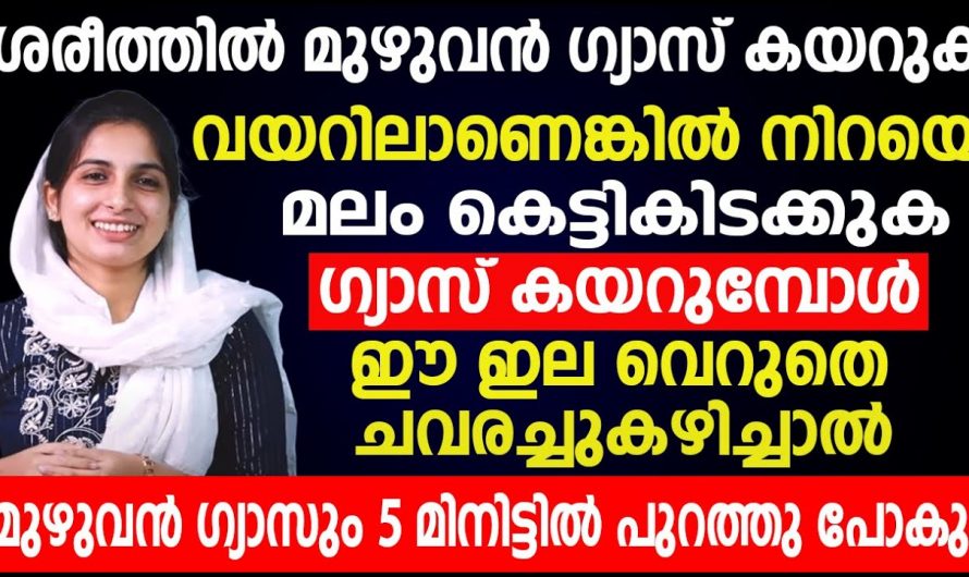 ഈ ഇല വെറും വയറ്റിൽ ഇങ്ങനെ കഴിച്ചാൽ മതി എത്ര വലിയ അസിഡിറ്റിയും മാറും.