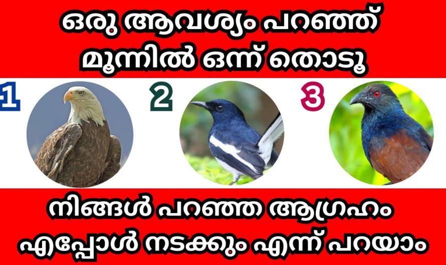 നിങ്ങളുടെ ഏത് ആവശ്യവും ഈ മൂന്നിൽ ഒന്ന് തൊട്ടാൽ നടക്കുമോ എന്നറിയാം.